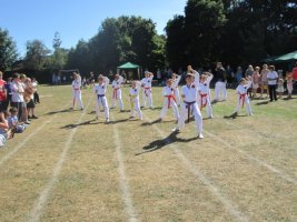 Karate display